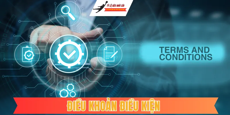 Điều Khoản Điều Kiện Sử Dụng Dịch Vụ Tại Kèo Nhà Cái