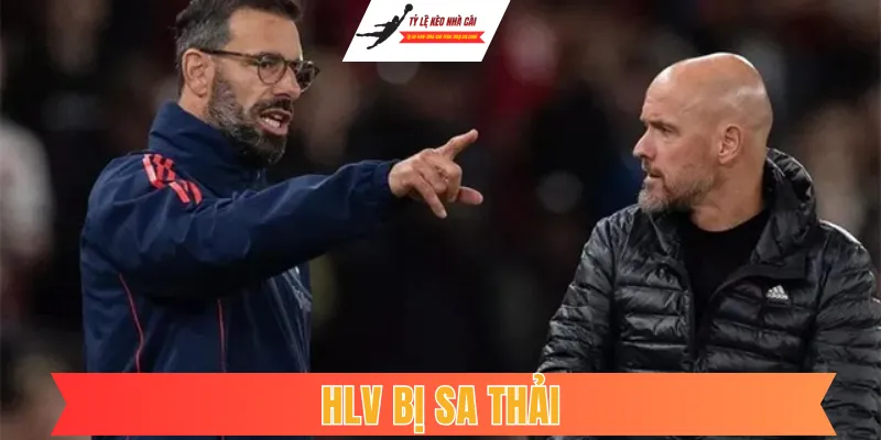 Hlv Bị Sa Thải: Những "Cú Sốc" Trên Băng Ghế Chỉ Đạo Và Biến Động