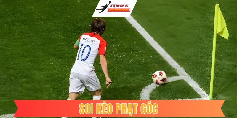 Soi Kèo Phạt Góc: Bí Thuật Bắt Kèo Từ Các Chỉ Số Phụ