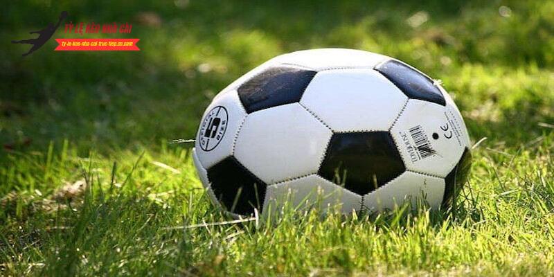 Tổng hợp các chuyên mục tại tỷ lệ kèo nhà cái 